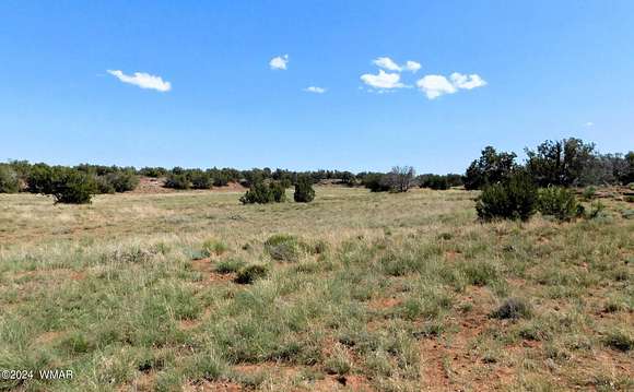 37.88 Acres of Recreational Land for Sale in Concho, Arizona