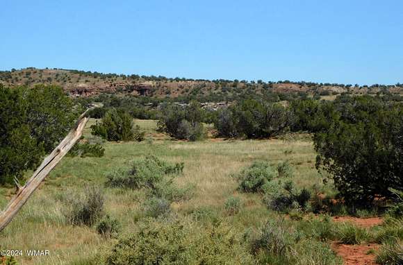 37.88 Acres of Recreational Land for Sale in Concho, Arizona