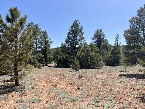 6.2 Acres of Agricultural Land for Sale in Ramah, New Mexico