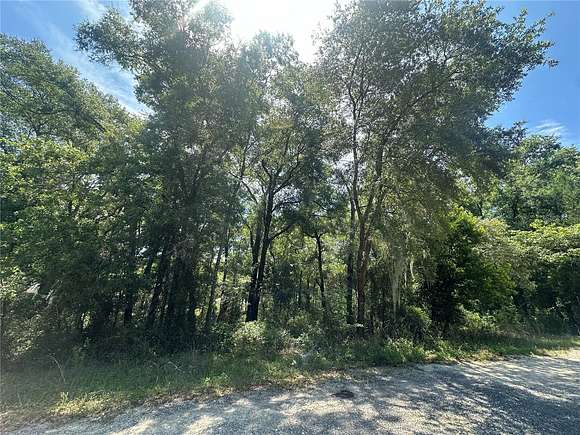 0.23 Acres of Residential Land for Sale in Williston, Florida