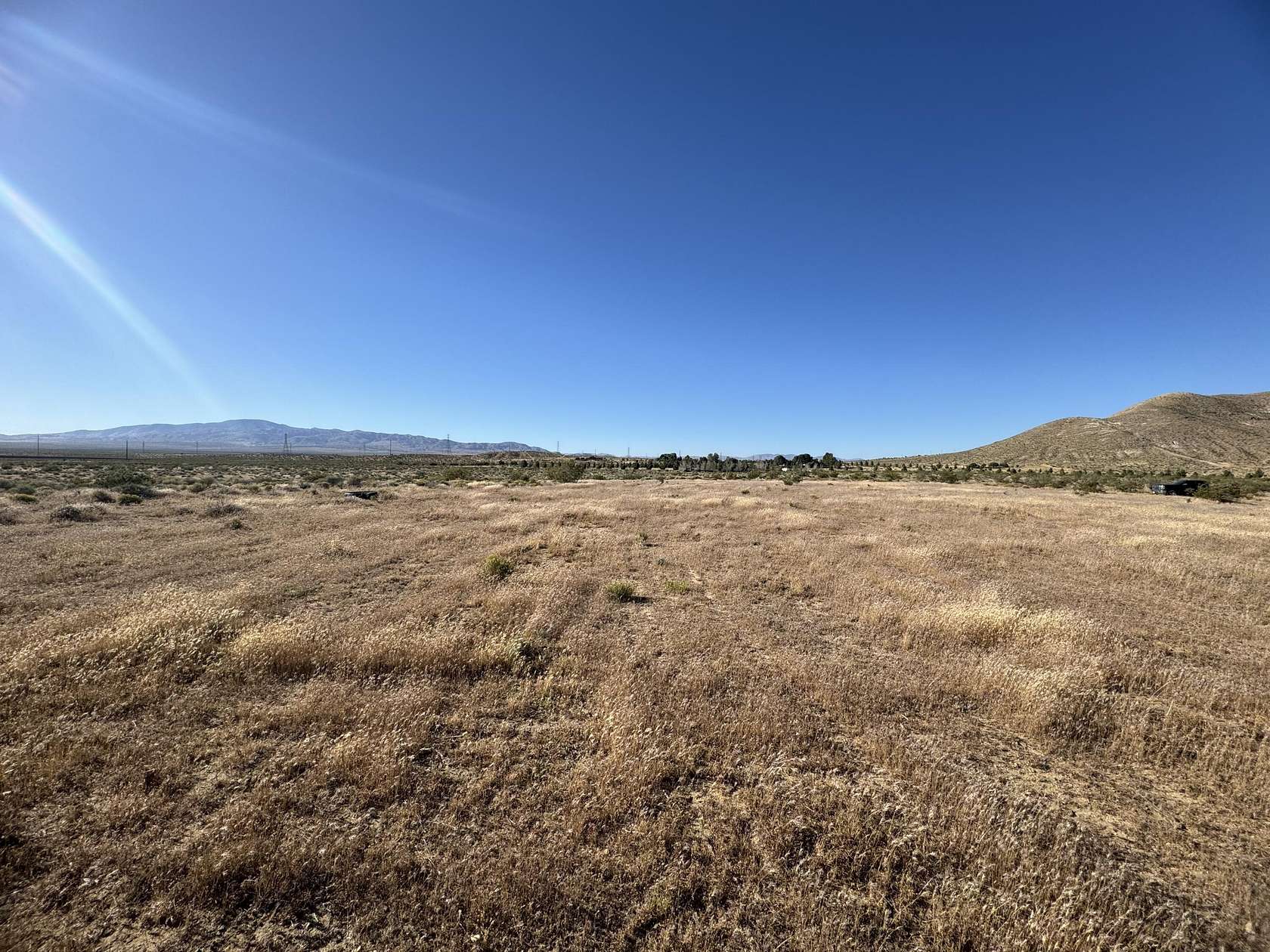 Land for Sale in Rosamond, California