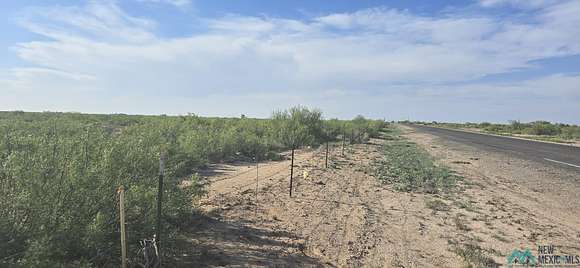 20 Acres of Land for Sale in Lake Arthur, New Mexico