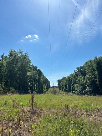 40 Acres of Recreational Land for Sale in Waynesboro, Mississippi