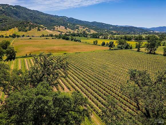 117 Acres of Agricultural Land with Home for Sale in Potter Valley, California