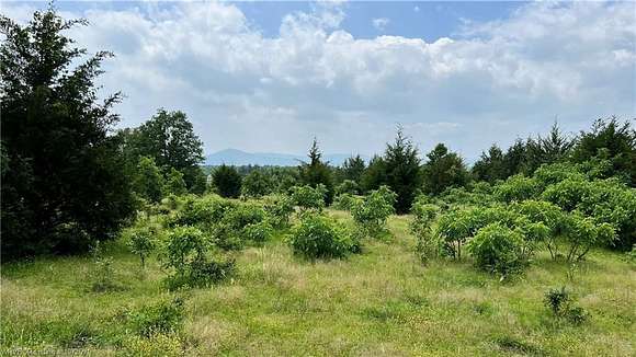 11.05 Acres of Recreational Land for Sale in Hackett, Arkansas