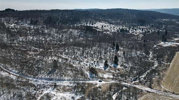 136 Acres of Recreational Land for Sale in Whitney Point, New York