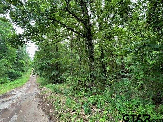 0.56 Acres of Residential Land for Sale in Avinger, Texas