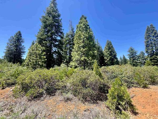 0.32 Acres of Residential Land for Sale in Lake Almanor Peninsula, California