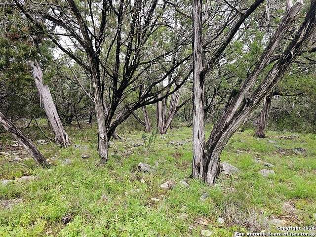 0.215 Acres of Residential Land for Sale in Spring Branch, Texas