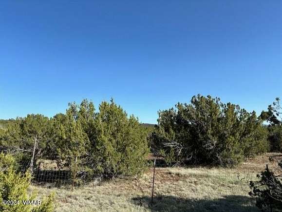 10.2 Acres of Land for Sale in Vernon, Arizona