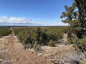 10.2 Acres of Land for Sale in Vernon, Arizona