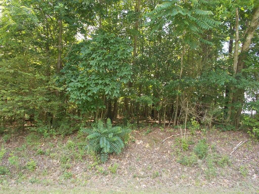 0.5 Acres of Land for Sale in Camden, Tennessee