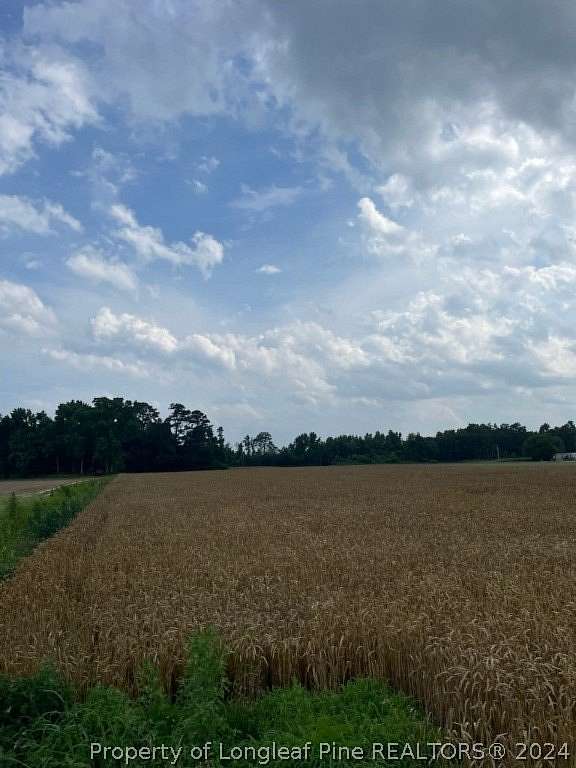 12.6 Acres of Land for Sale in Dunn, North Carolina