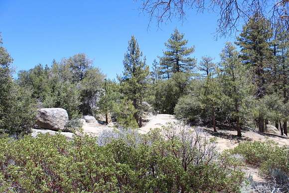 29 Acres of Agricultural Land for Sale in Caliente, California