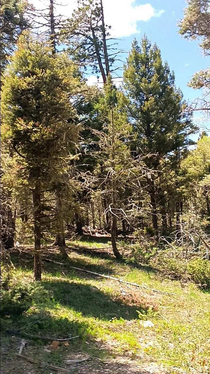 1.3 Acres of Residential Land for Sale in Angel Fire, New Mexico