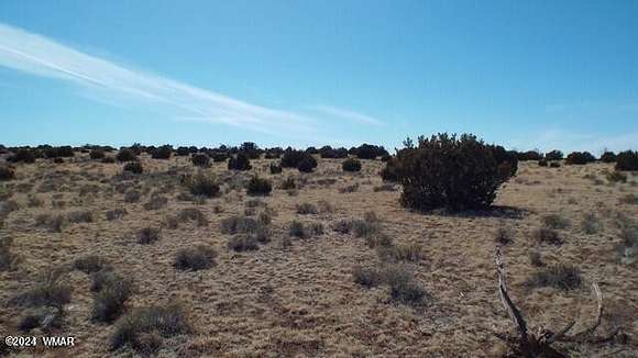 36.7 Acres of Agricultural Land for Sale in Concho, Arizona