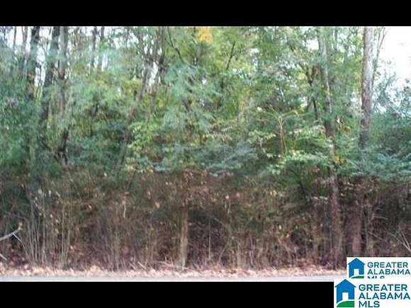 0.42 Acres of Residential Land for Sale in Birmingham, Alabama