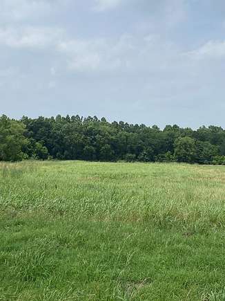 5.3 Acres of Residential Land for Sale in Athens, Texas