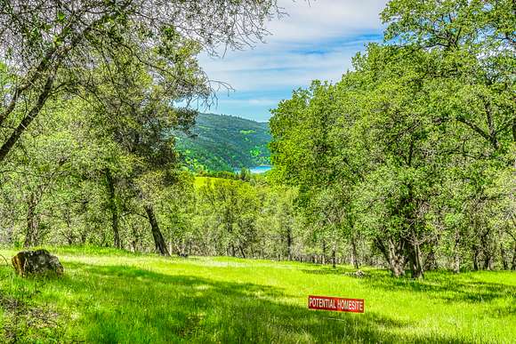Land for Sale in Penn Valley, California