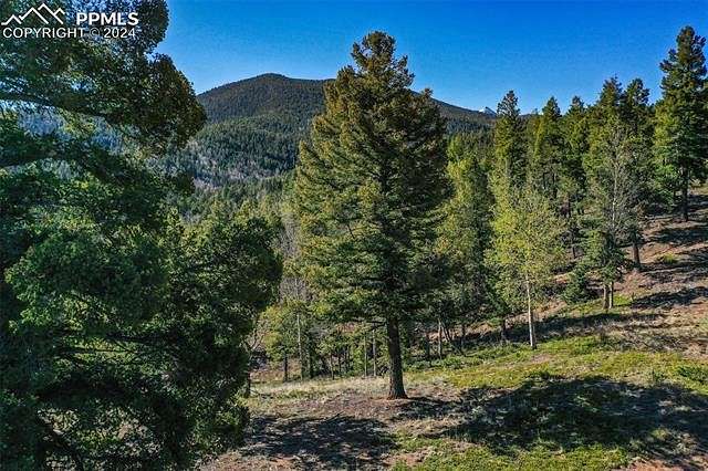 35 Acres of Recreational Land for Sale in Divide, Colorado