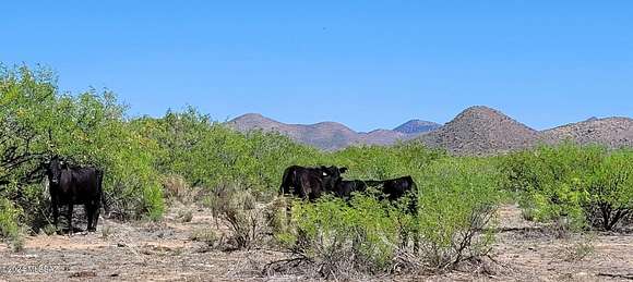 2.5 Acres of Land for Sale in Elfrida, Arizona