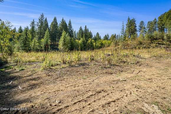 3.01 Acres of Residential Land for Sale in Rathdrum, Idaho