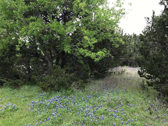 0.28 Acres of Land for Sale in Whitney, Texas