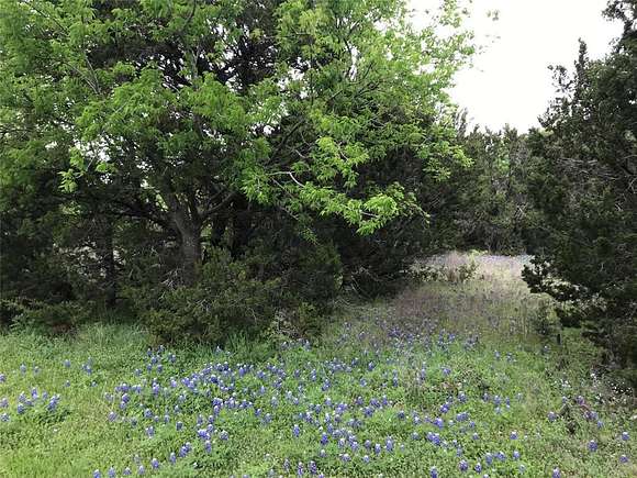 0.282 Acres of Land for Sale in Whitney, Texas