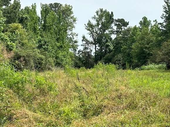 29.4 Acres of Land for Sale in Bogue Chitto, Mississippi