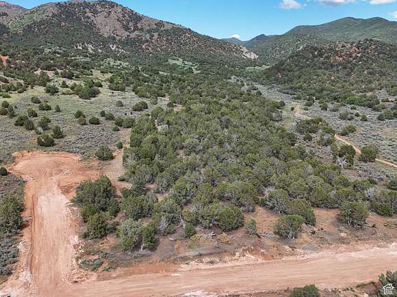 1 Acre of Residential Land for Sale in Birdseye, Utah