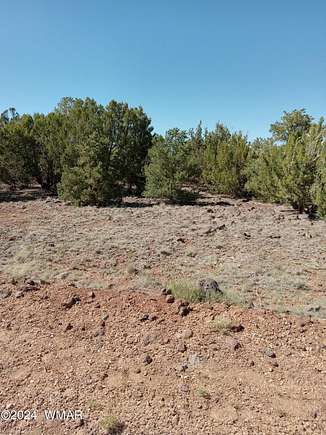 1.04 Acres of Land for Sale in Concho, Arizona