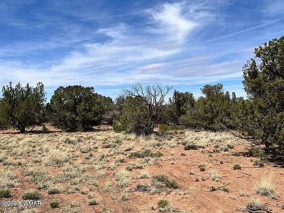 2.36 Acres of Residential Land for Sale in Snowflake, Arizona