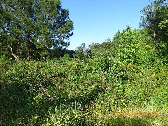102 Acres of Land for Sale in Monetta, South Carolina