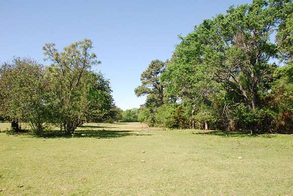 39.5 Acres of Land for Sale in Lindale, Texas