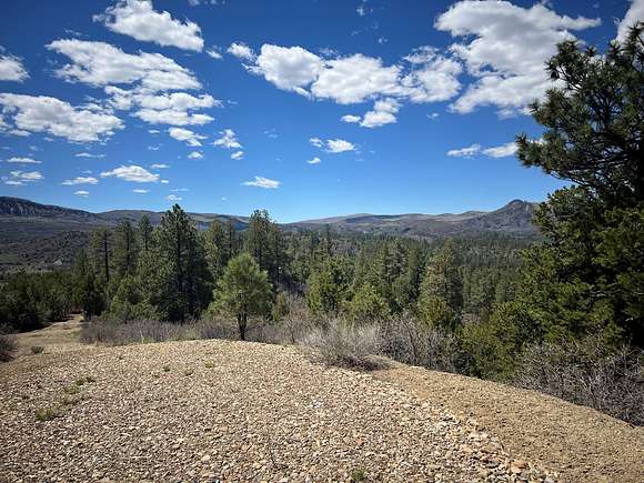 35.5 Acres of Recreational Land & Farm for Sale in Cahone, Colorado