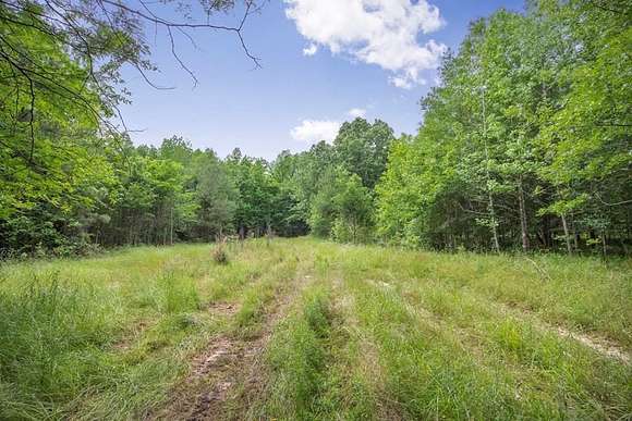 62 Acres of Land for Sale in Edwards, Mississippi