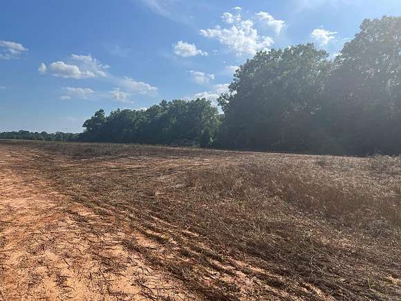 45 Acres of Agricultural Land for Sale in Leesburg, Georgia