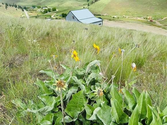 31.3 Acres of Recreational Land with Home for Sale in Plains, Montana