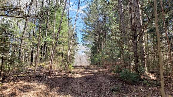 Northern WI Property Near Elcho