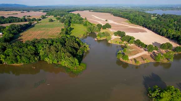 88.7 Acres of Recreational Land for Auction in Cedar Bluff, Alabama