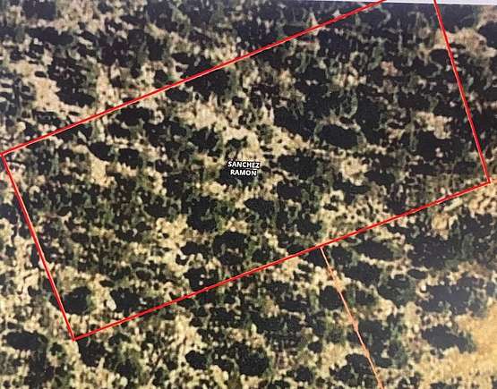 0.95 Acres of Land for Sale in Mora, New Mexico