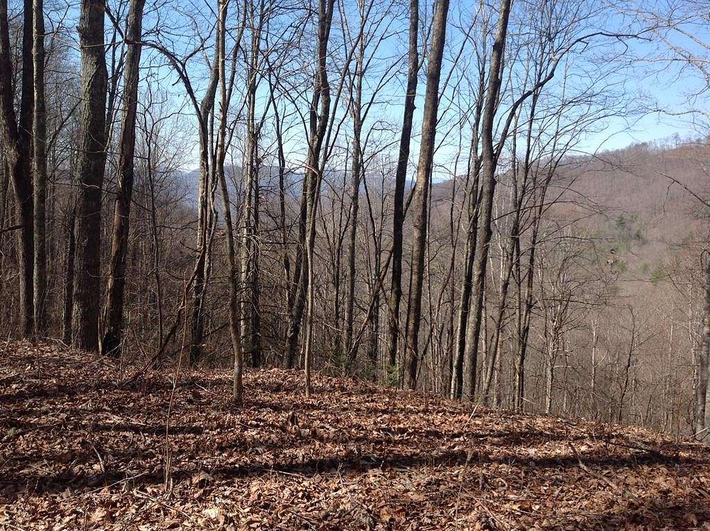 0.8 Acres of Residential Land for Sale in Sylva, North Carolina