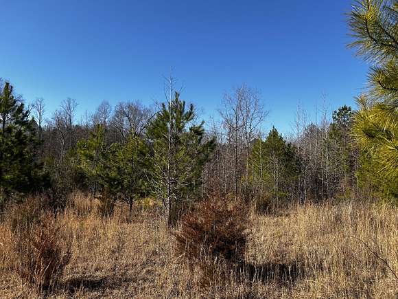 42.7 Acres of Land for Sale in Georgetown, Tennessee