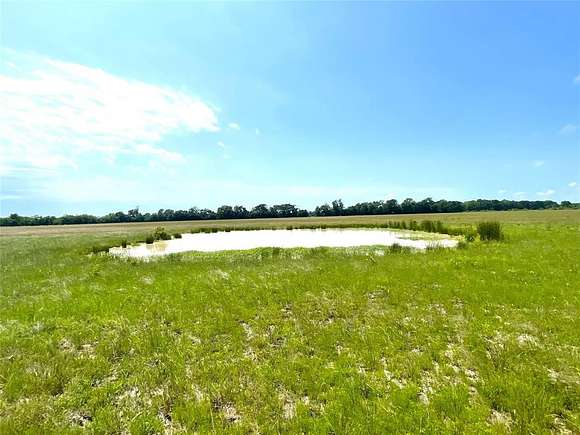 48.6 Acres of Agricultural Land for Sale in Bogata, Texas