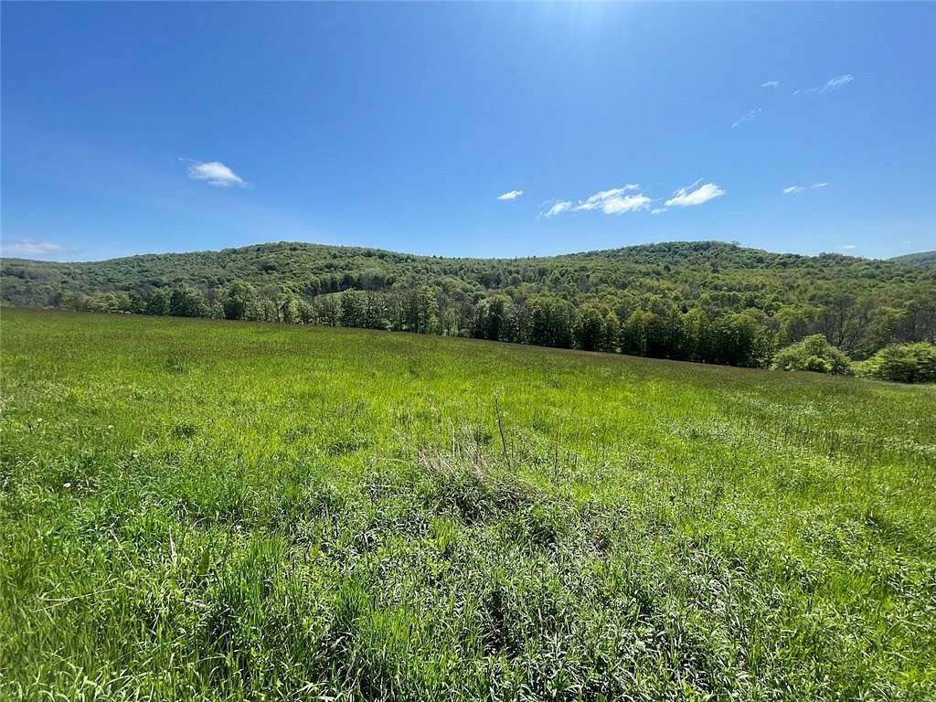 13.54 Acres of Land for Sale in Bovina, New York