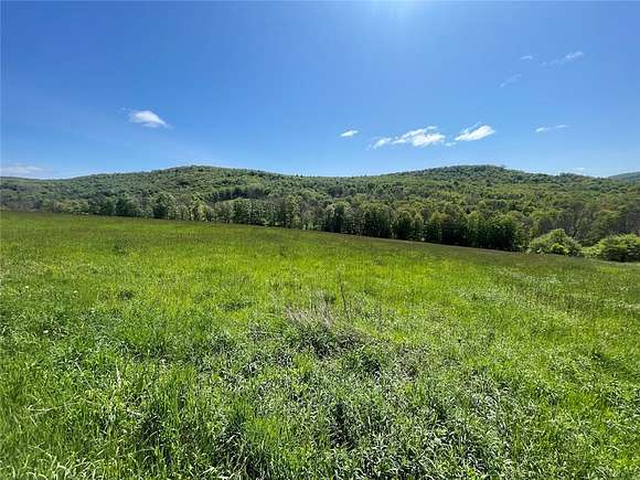 13.5 Acres of Land for Sale in Bovina, New York