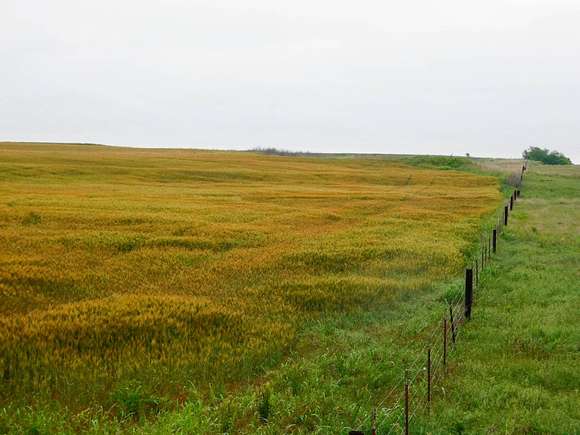 159 Acres of Agricultural Land for Sale in Kremlin, Oklahoma