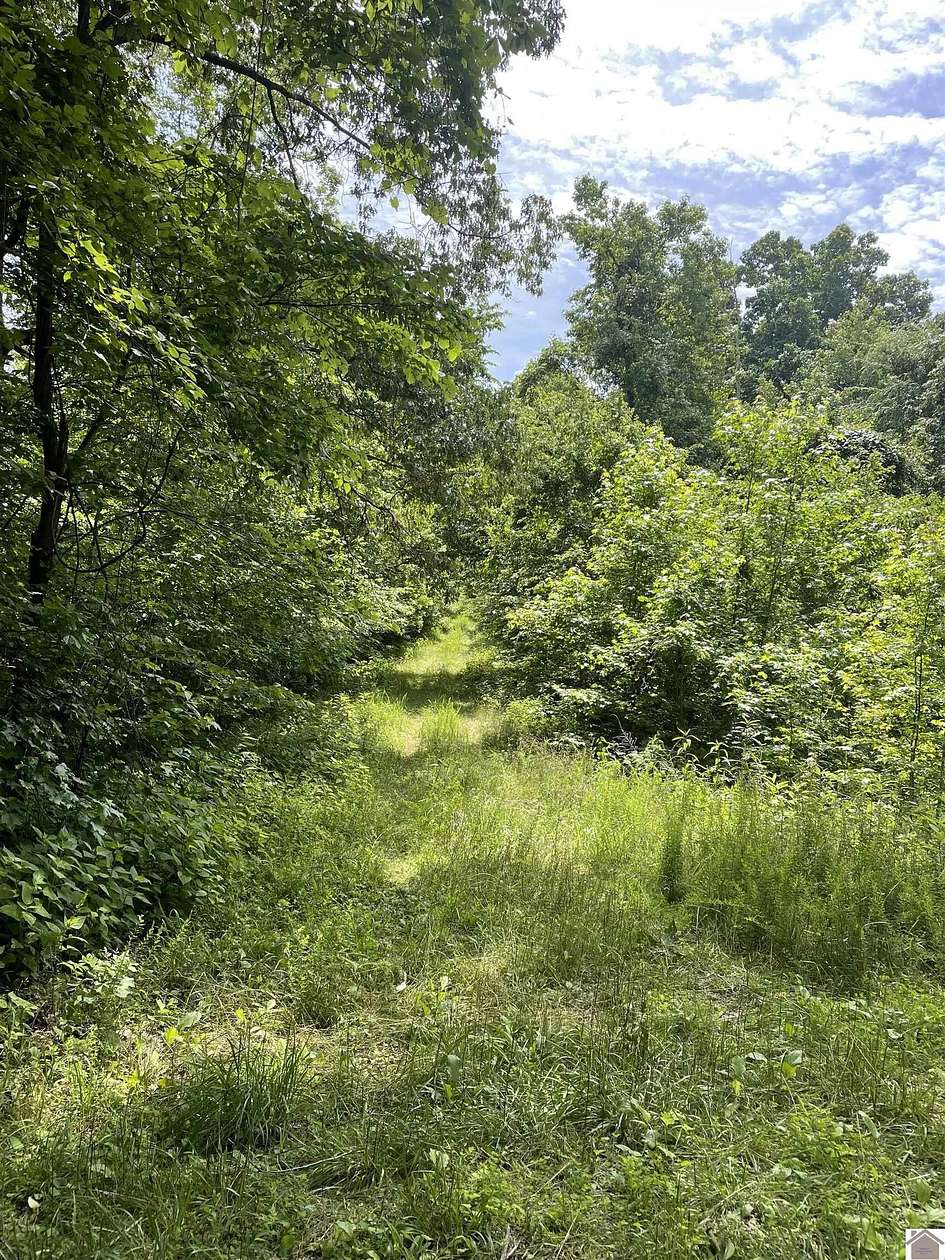 7 Acres of Residential Land for Sale in Cadiz, Kentucky