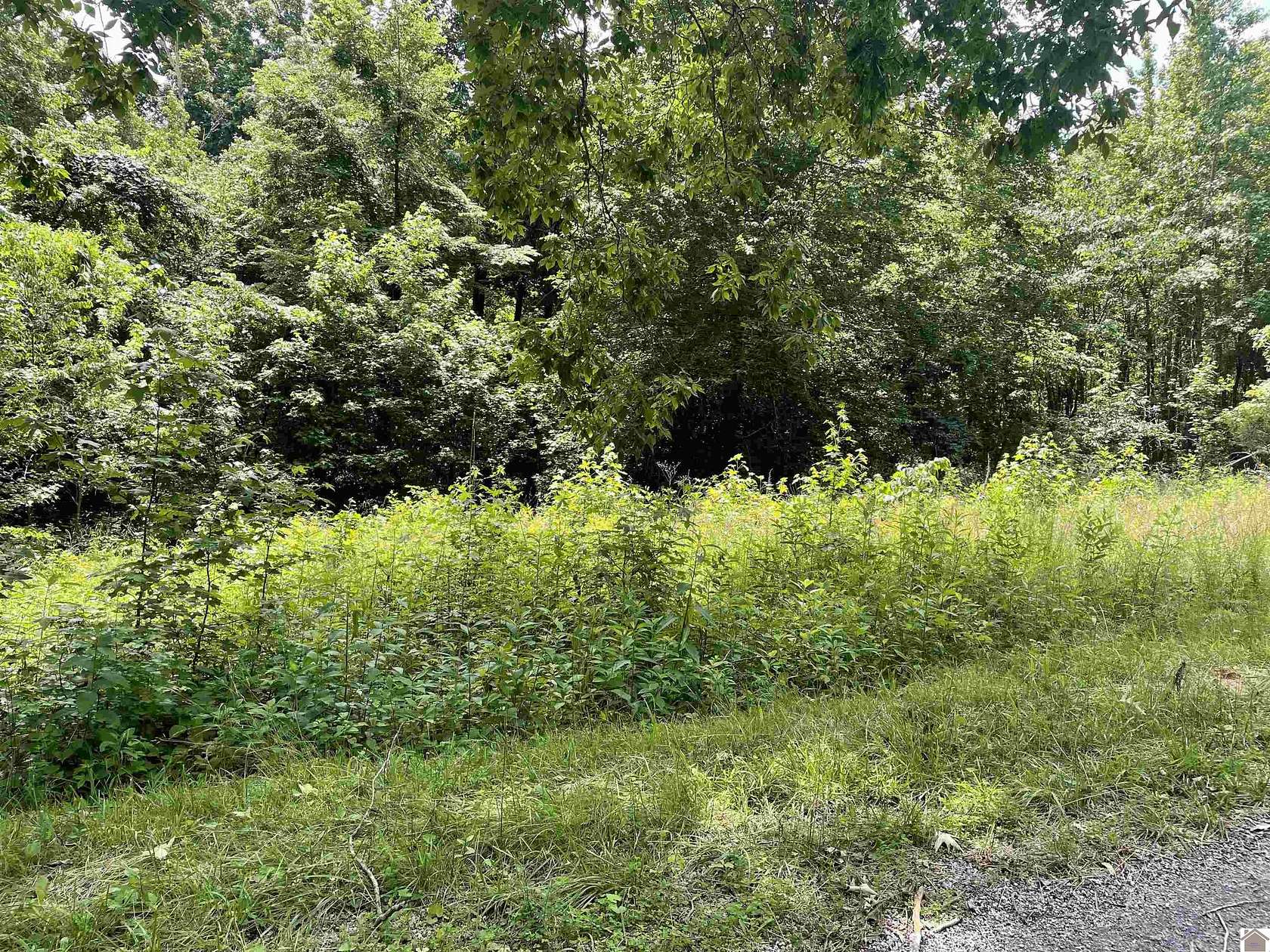 0.25 Acres of Residential Land for Sale in Cadiz, Kentucky