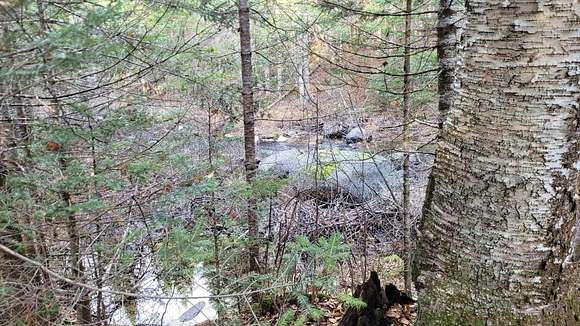 42.1 Acres of Recreational Land for Sale in Mariaville, Maine
